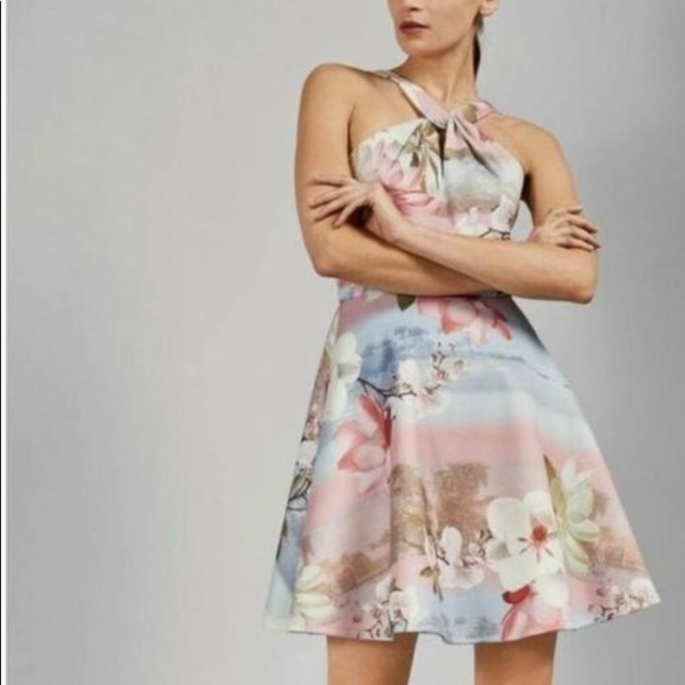 Ted Baker Dress